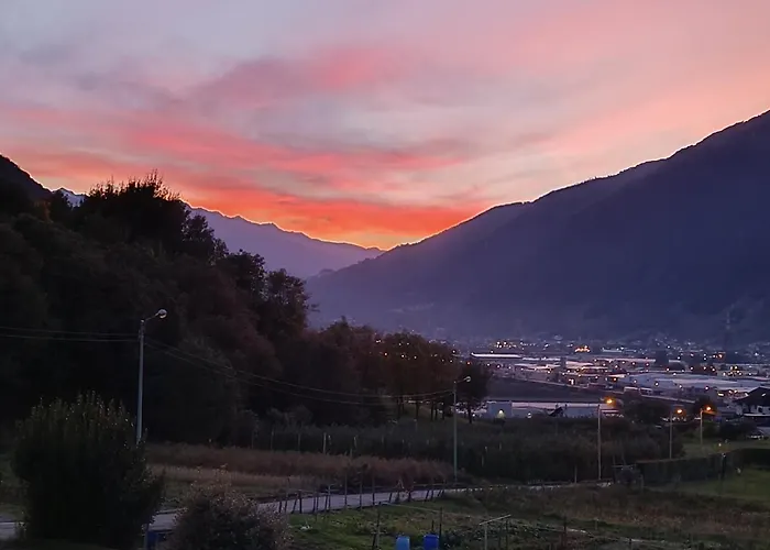 Pisolo Selvaggio