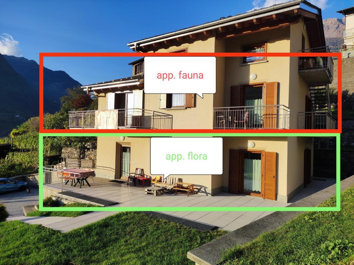 Pisolo Selvaggio Apartment