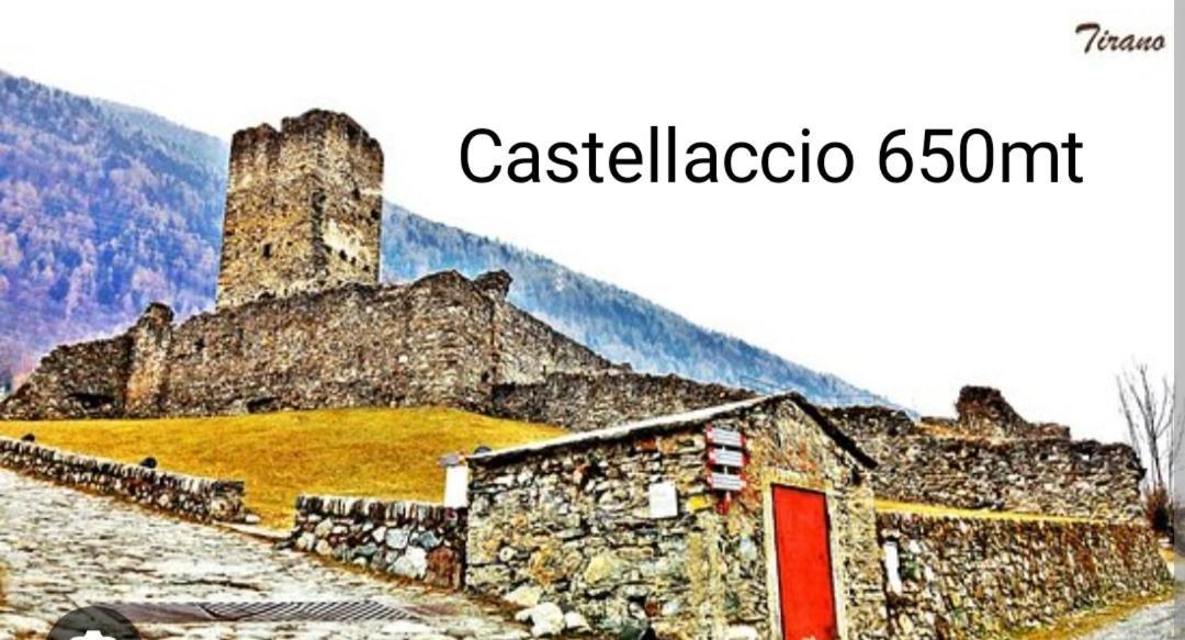 Pisolo Selvaggio *
