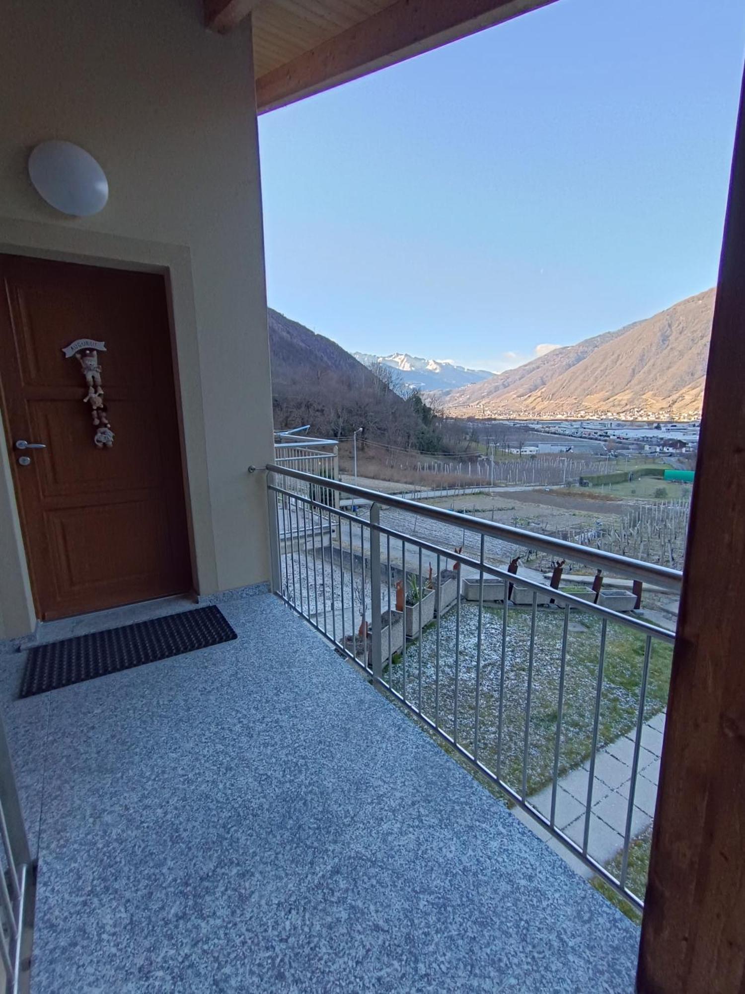 Pisolo Selvaggio Tirano