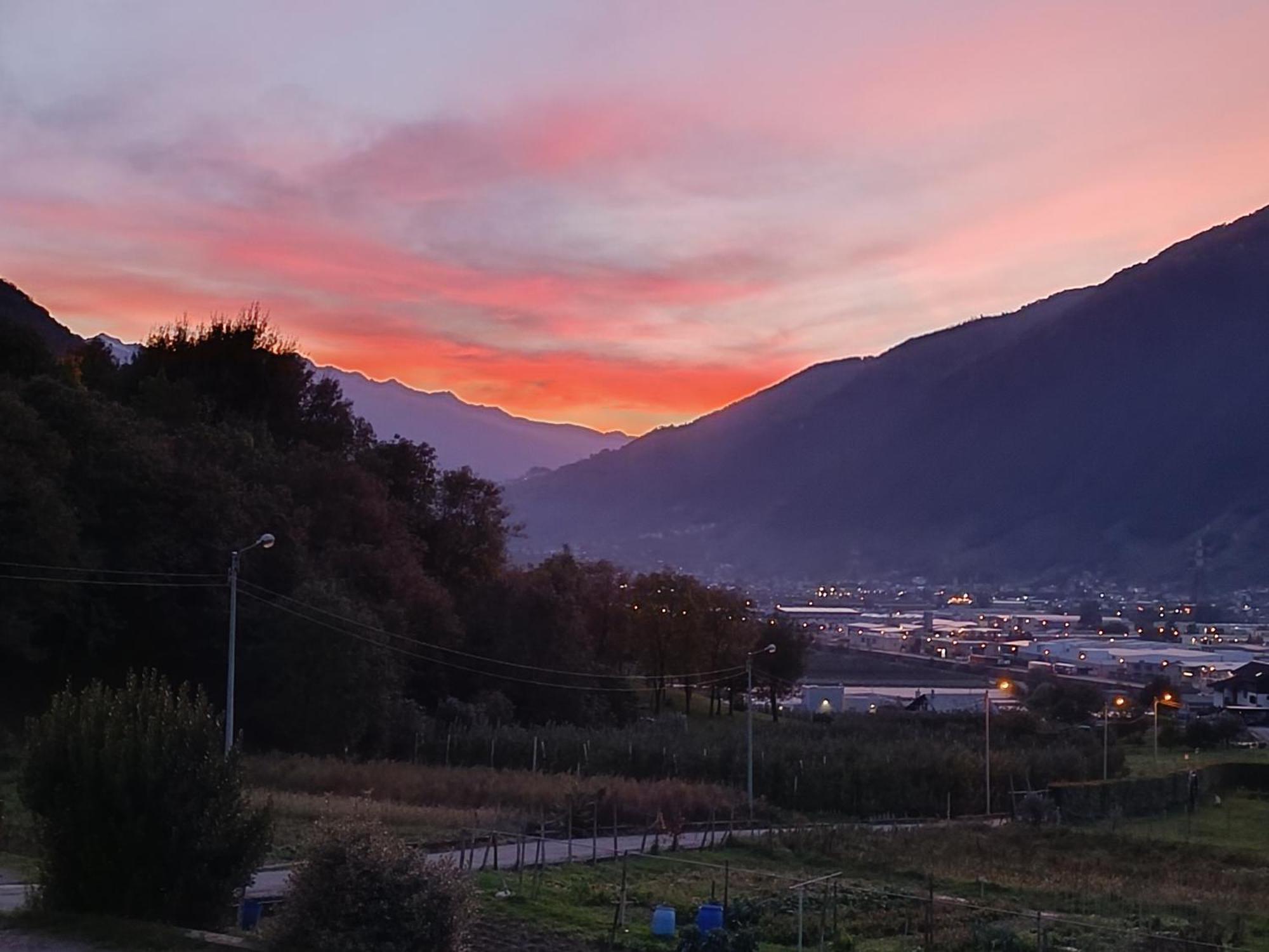 Pisolo Selvaggio * Tirano